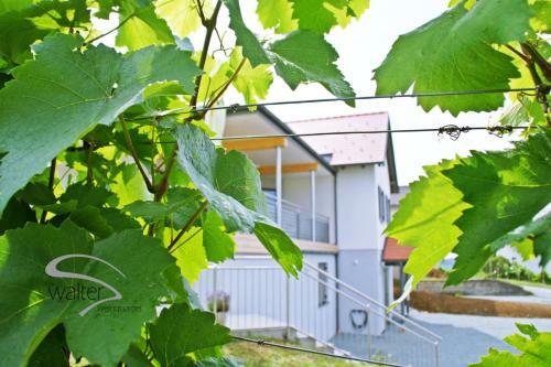 Bed & Breakfast Walters Weinquartier