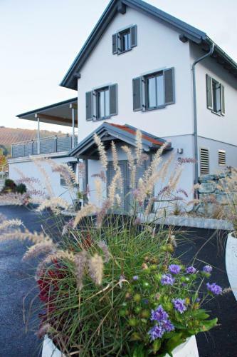 Bed & Breakfast Walters Weinquartier