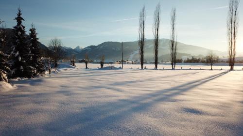 Apartamento Appartements Winter