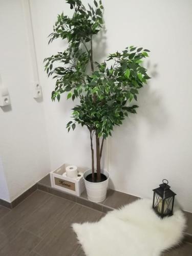 Apartamento Studio In F�genberg/zillertal 35273