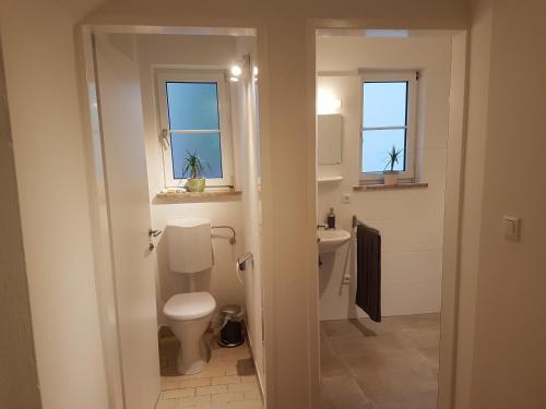 Amazing Apartment 4