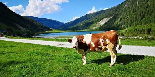 Hostal Pension Gemshorn