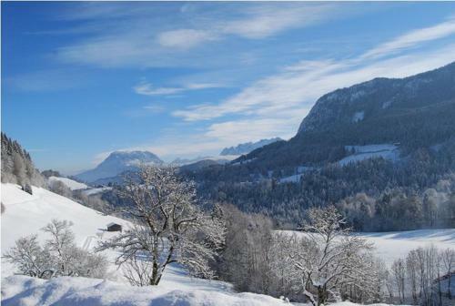 Apartment Thiersee 1