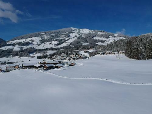 Chalet Grubing