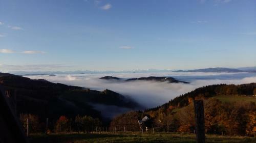 Hostal Forellenwirt Bacher