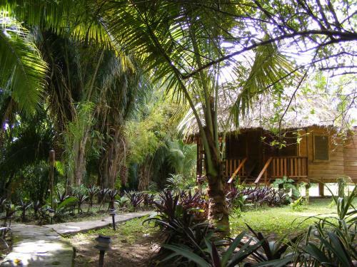 Hotel Cohune Palms River Cabanas