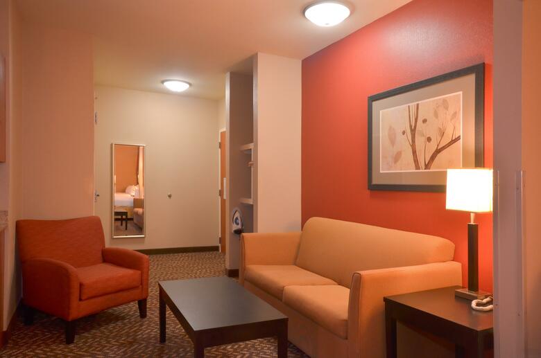 Holiday Inn Express Hotel & Suites Pine Bluff/pines Mall