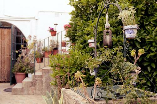 Agroturismo Casa Grande De Extremadura
