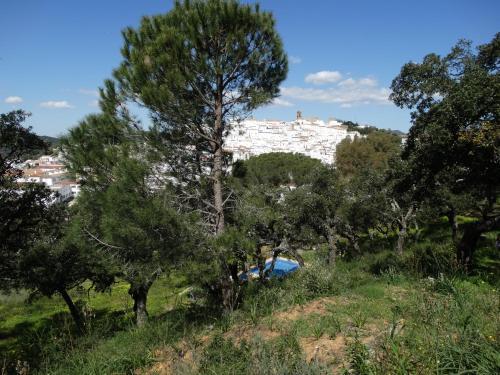Apartamento Alojamiento Rural El Lario