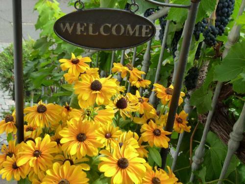 Hostal Ferienweingut Rudorfer