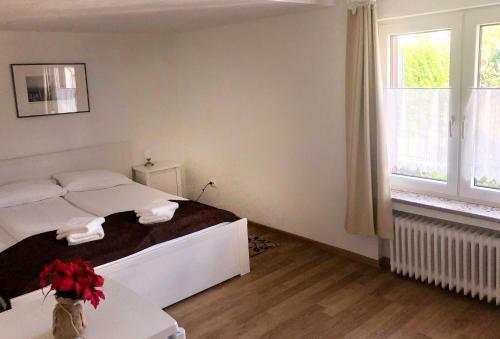 Hostal Pension Rote Rosen