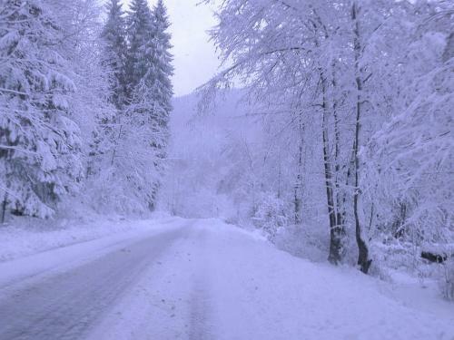 Large Apartment Near Ski Slopes In Herzberg