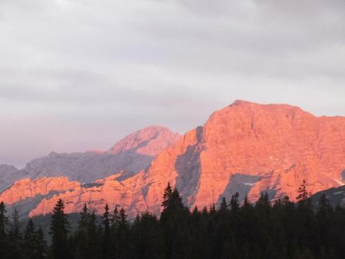 Hotel Winklmoos Sonnenalm