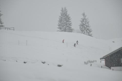 Hotel Winklmoos Sonnenalm