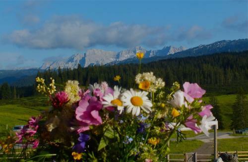 Hotel Winklmoos Sonnenalm