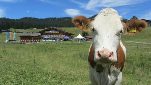 Hotel Winklmoos Sonnenalm