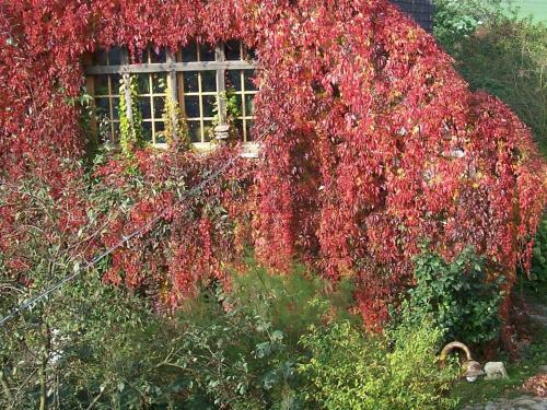 Welcoming Apartment With Naturistic Views In Restchow