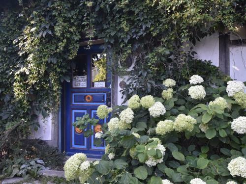 Apartamento D�rpsiet Und Kiewitt Verbunden