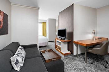 Hotel Springhill Suites San Diego Rancho Bernardo/scripps Poway