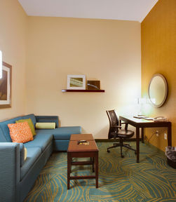 Hotel Springhill Suites Savannah Airport