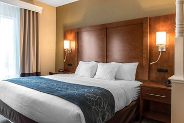 Hotel Comfort Suites Scranton