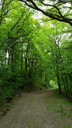 Hostal Wagner�s