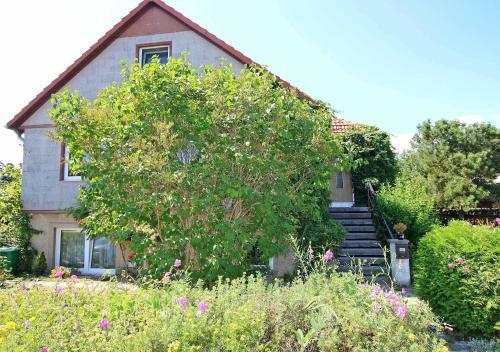 Apartamento Ferienwohnung Klink See 9701