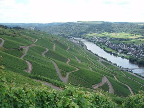 Luxurious Apartment In Kinheim In Idyllic Vineyards