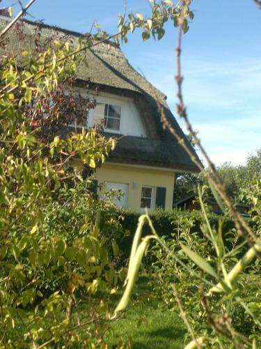 Ferienhaus Karlin