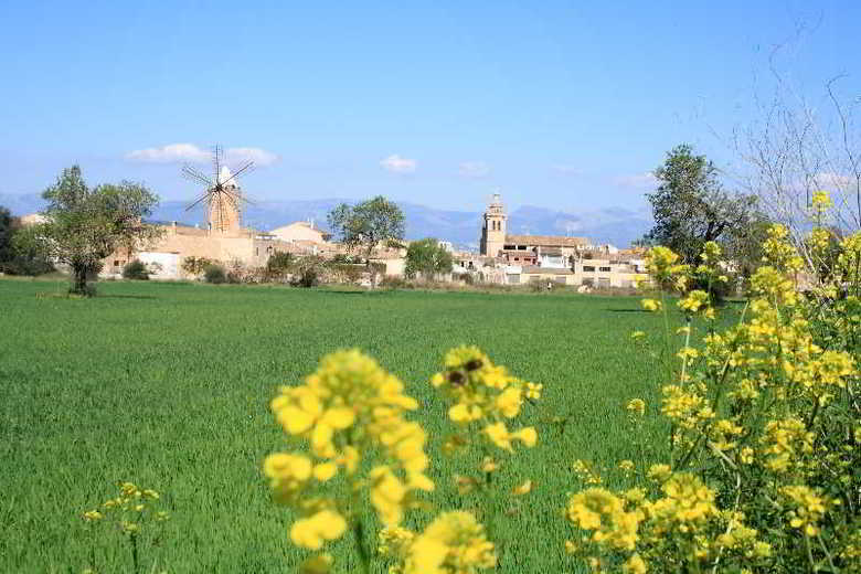 Algaida Petit Hotel