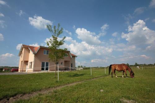 Hostal Double Room Bilje 14318b