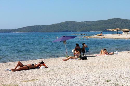 Apartment Brodarica 4195a