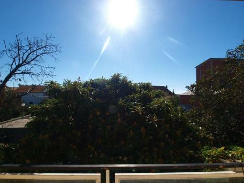 Hostal Guest House Brodarica