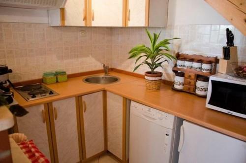 Apartment Miho
