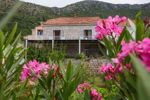 Apartments With A Parking Space Brsecine (dubrovnik) - 9098