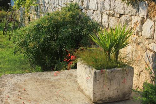 Apartments With A Parking Space Brsecine (dubrovnik) - 9098