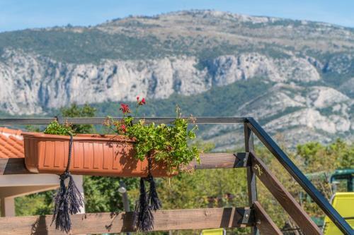 Bed & Breakfast Agroturizam Duvan?i? - Konoba Dida Marka