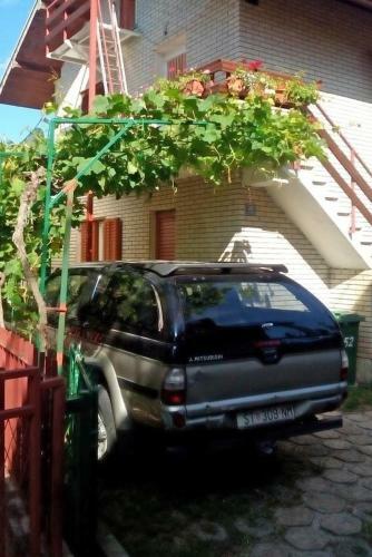 Apartment Zaboric 8368b