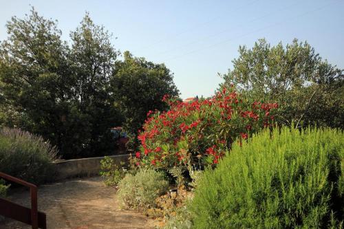 Apartments With A Parking Space Zaglav (dugi Otok) - 878