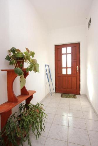 Apartments With A Parking Space Zaglav (dugi Otok) - 878