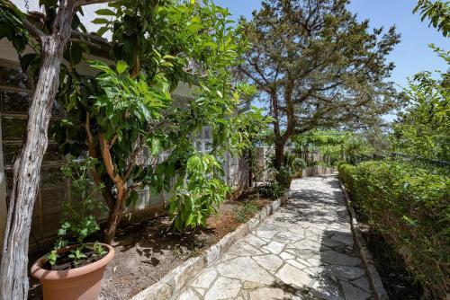 Apartments By The Sea Zavala (hvar) - 2061