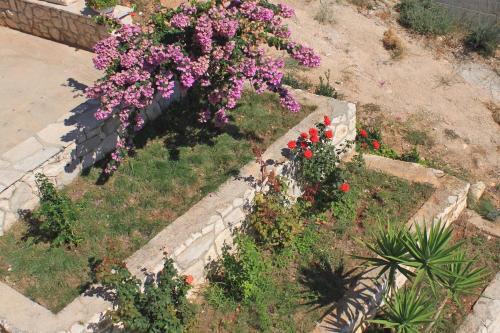 Apartments By The Sea Zavalatica (korcula) - 9138