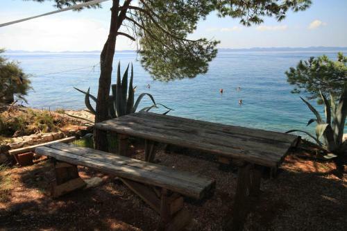 Apartments By The Sea Zdrelac (pasman) - 8405