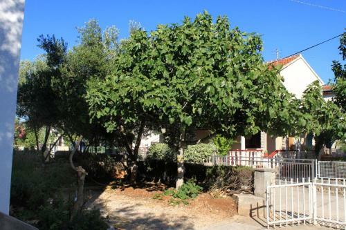 Apartments By The Sea Zdrelac (pasman) - 697