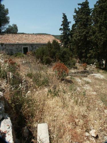 Apartments By The Sea Zman (dugi Otok) - 891