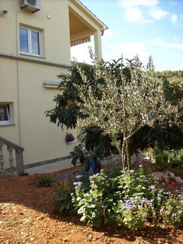 Apartments By The Sea Zman (dugi Otok) - 12879