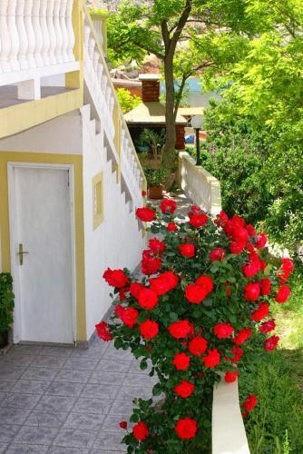 Apartments With A Parking Space Metajna (pag) - 4116