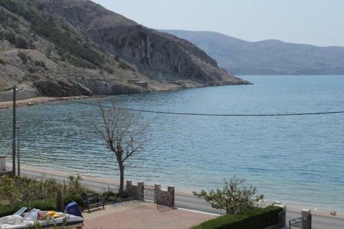 Apartment Metajna 6466c