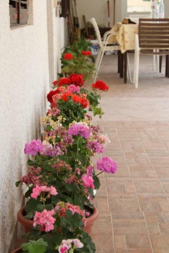 Apartment Metajna 6466a