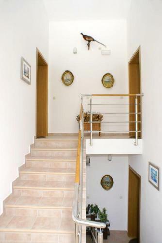 Apartment Metajna 4115a